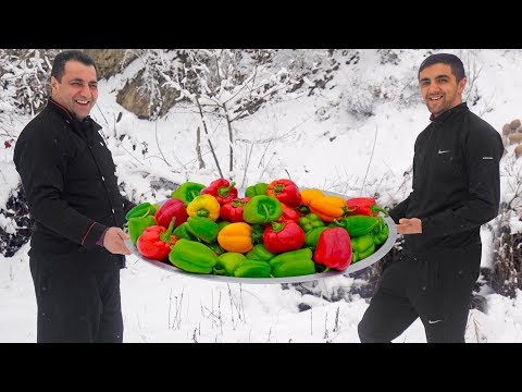 Healthy omelette recipes with vegetables || Wilderness Cooking || Breakfast recipes with eggs