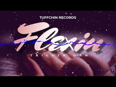 Trigger Dan - Flexin (Official Visualizer)