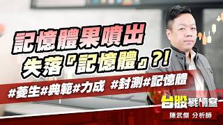 記憶體果噴出…失落『記憶體』?!#菱生#典範#力成#封測#記憶體｜小武哥投資事務所｜陳武傑 (圖)