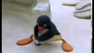 Pingu: Hide and Seek