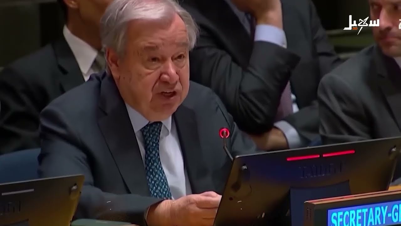 مواقف عربية ودولية تؤكد على دعم وحدة اليمن وعدم السماح بتمزيق الجغرافيا اليم