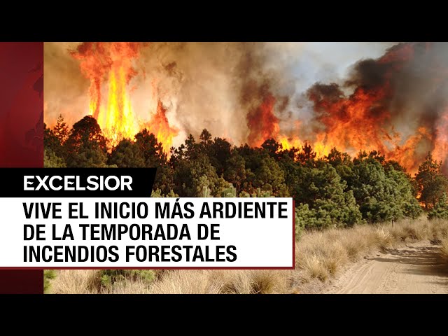 Youtube Imagen