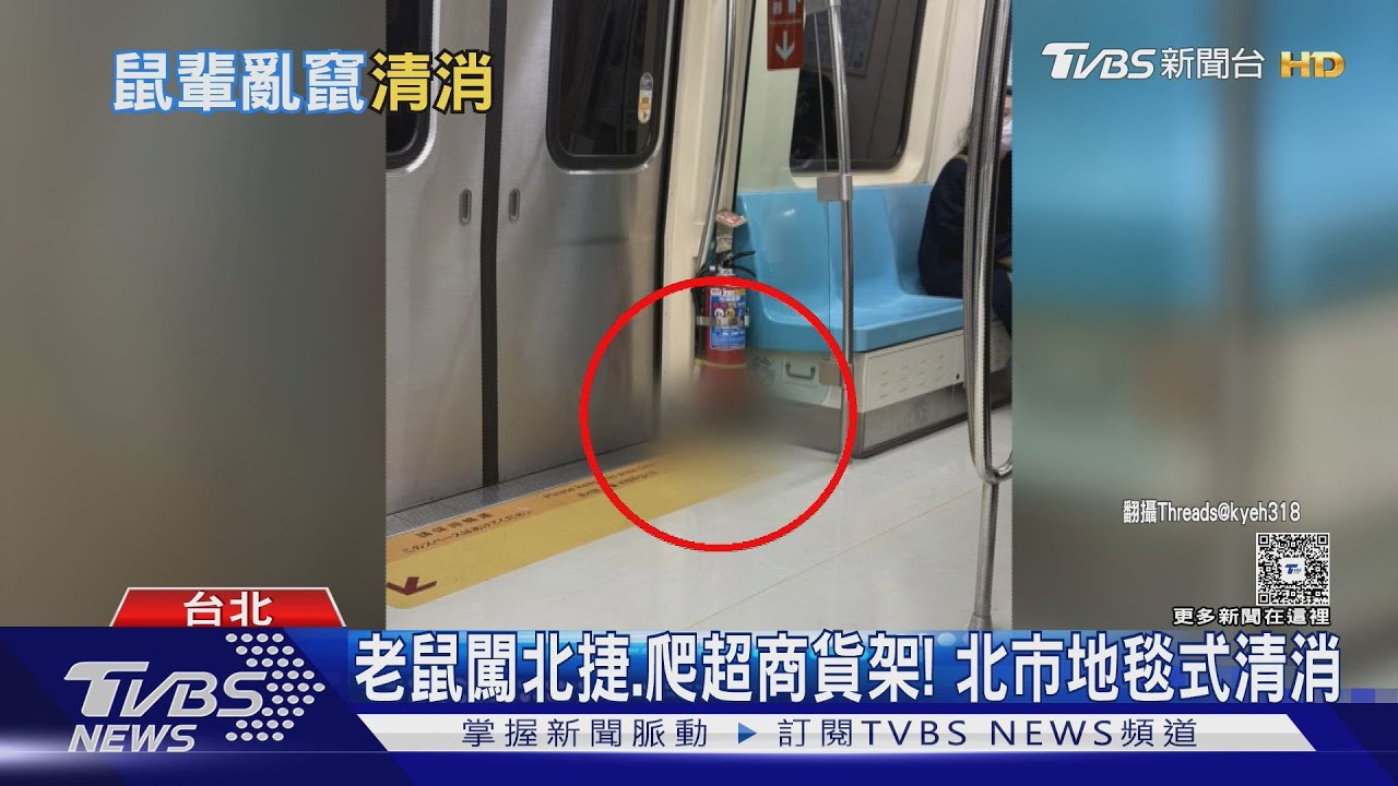 老鼠爬上超商貨架、竄捷運 北市12區地毯式清消