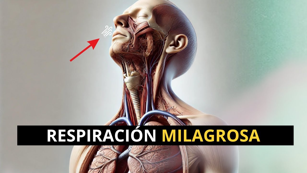 Una Vez QUE RESPIRAS De Esta Manera, la TRANSICIÓN OCURRE INSTANTÁNEAMENTE