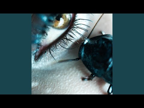 Dugnas - Akli
