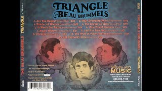 The Beau Brummels - The wolf of velvet fortune (Lyric video)