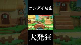 【ニンダイ反応】『ペーパーマリオRPG』リメイクの発表で発狂する人【音量注意】 #nintendodirect