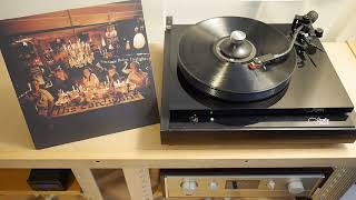The Cardigans - Feathers and down Vinylrip