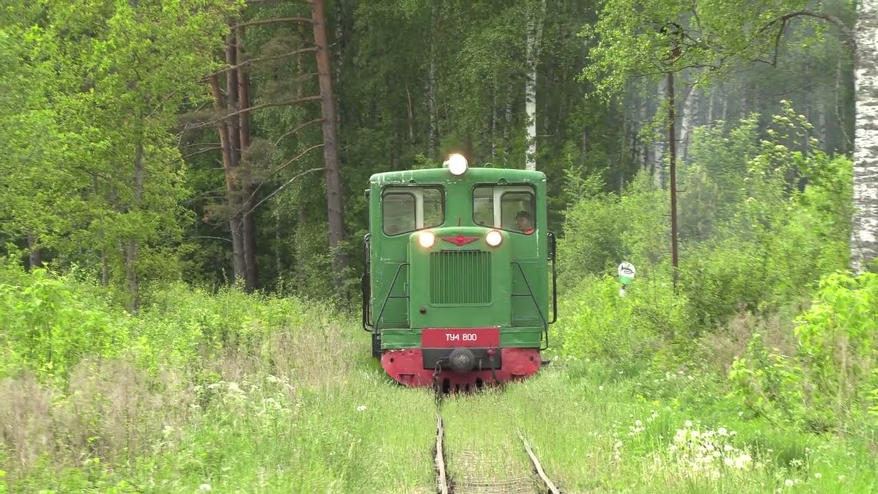 Тепловоз ТУ4-800 в музее Лавассааре / TU4-800 at Lavassaare museum