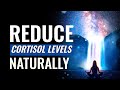 Reduce Cortisol Levels Naturally | Stress Reduction Music Therapy | Brain Calming Sound Vibrations