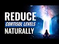 Reduce Cortisol Levels Naturally Stress Reduction Music Therapy Brain Calming Sound Vibrations