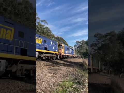 TRAINS AM22 Pacific National 2PM6 NR82 8117 G538 28/07/2022 at Blakiston