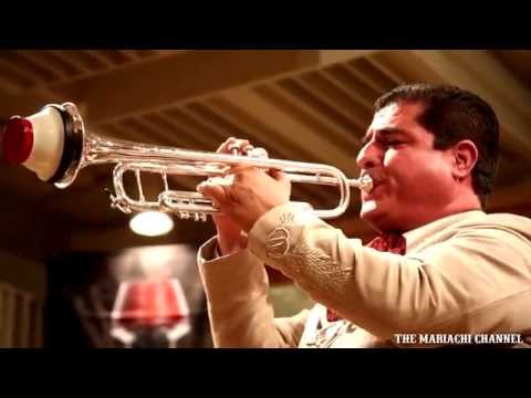 ECHAME A MI LA CULPA | MARIACHI NUEVO TECALITLAN | Video Oficial | Grabado en Vivo