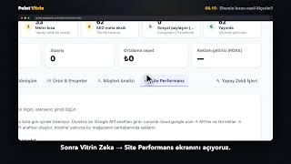 Sitemin hızını nasıl ölçerim — Point Vitrin Paneli