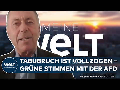 DEUTSCHLAND: Grüne stimmen mit AfD: „Der Tabubruch ist vollzogen“ | MEINUNG