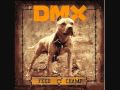 DMX - DOGS FOR LIFE