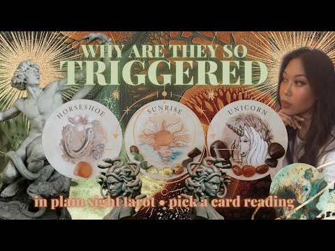 PICK A CARD: WHY ARE THEY SO ⚡TRIGGERED⚡?