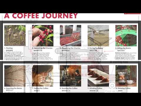 SCA Roasting Foundation - Part 2 - Sharing my old PowerPoint slides with content explanations.