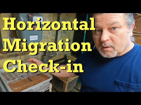 Day-6 of ENCs' horizontal migration - worm farm vermicomposting