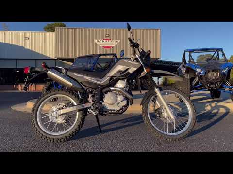 2022 Yamaha XT250 in Greenville, North Carolina - Video 1