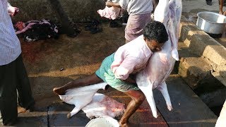 Crazy Style | Full Goat Skin & Meat Cutting Skill |  How to Remove Goat Skin street food