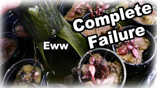 Emersed Plant Grow Rack FAILURE!  (Plus a big announcement)