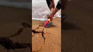 Monster seafood dig with technical tool#shorts