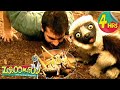 4 Hours Of Zoboomafoo Bzzz Full Episodes For Kids