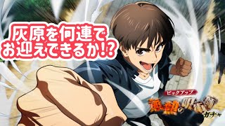 【ファンパレ】「蒸熱の呪術師ガチャ」【実況】
