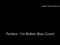 Pantera - I'm Broken (Bass Cover) 