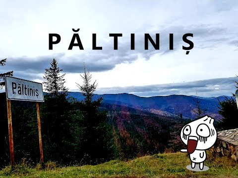 Discover Romania #1 Păltiniș - Județul Sibiu