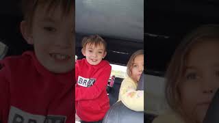 lilly Haydn introduction