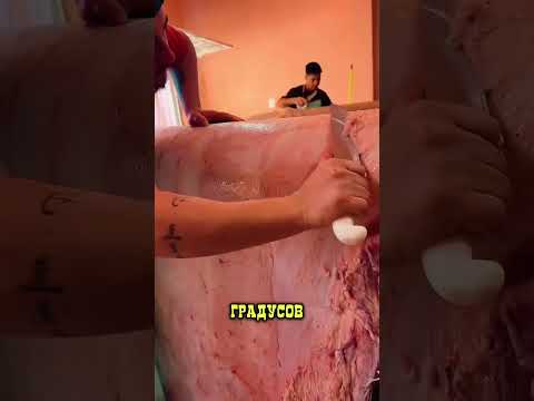 от шкур к прибыли: история тихого успеха 🧱📈