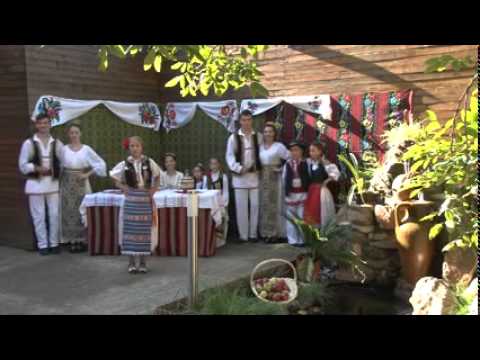 ANDREEA CHERELUSAN -  CANT CU DRAG LA LUME MULTA