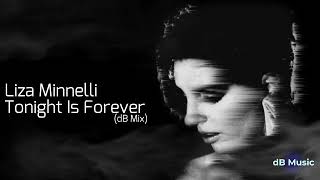 Liza Minnelli - Tonight Is Forever (dB Mix) - Subscriber Request