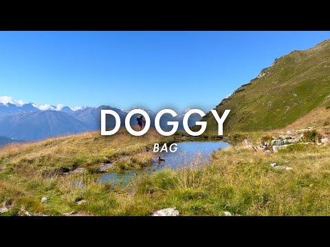 135 || Painting the bedroom