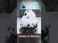 Winter In Canada Goodtimes 684