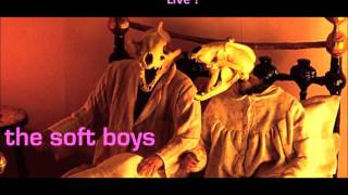 ~The soft boys~ NEXTDooRLAND~ LIVE !