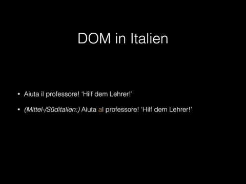 Die romanischen Sprachen aus typologischer Sicht 7: Morphosyntaktischer Sprachvergleich