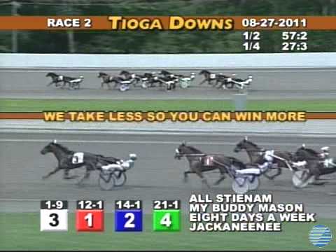 All Stienam - Tioga Downs - Aug 27