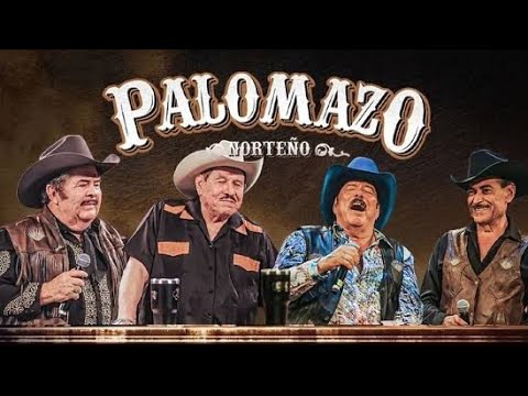El palomazo perfecto 🍻 edición de oro