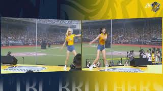 [正妹] 目前的疾風街道資料庫不足