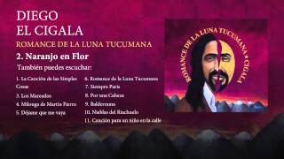 Diego el Cigala - Naranjo en Flor (con letra)