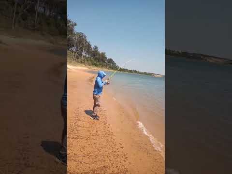 pesca de bogas en Ituzaingó -corrientes