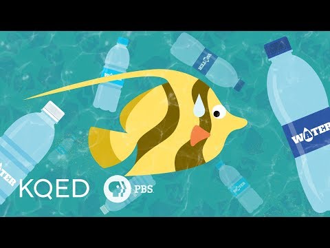 Would Banning Plastic Bottles Help or Hurt the Planet?