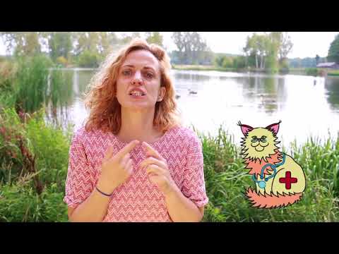 Můj život s kočkou 2018