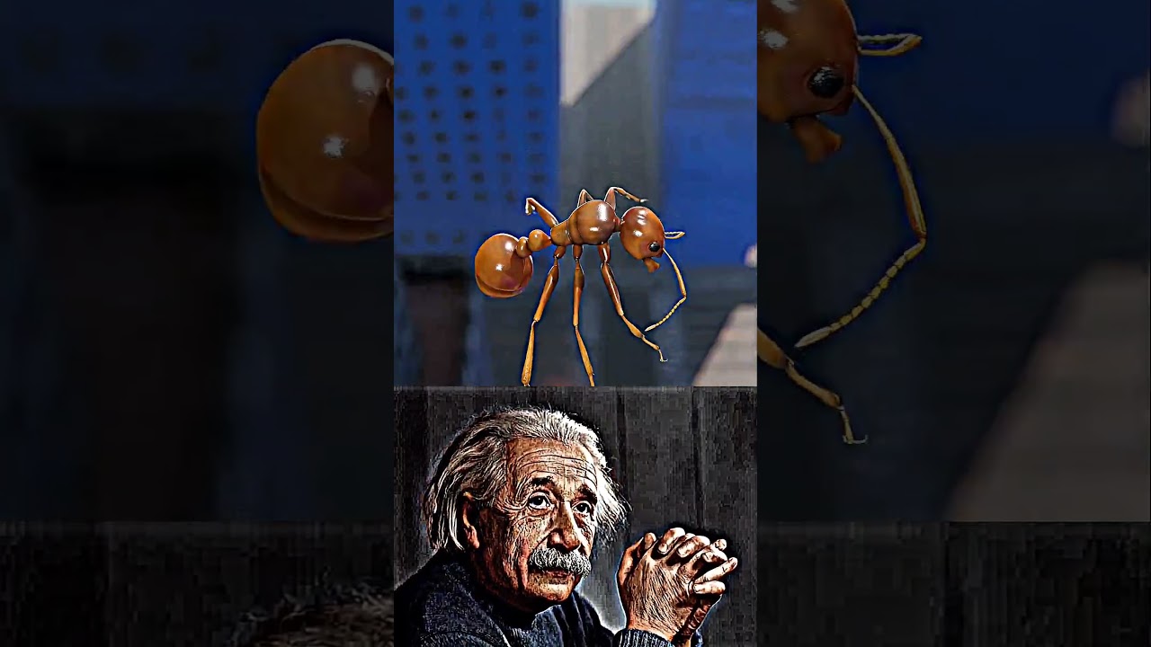 Sigma physics teacher ☠️ Albert Einstein's #einstein #shorts #tending #physics #sigmaphysics