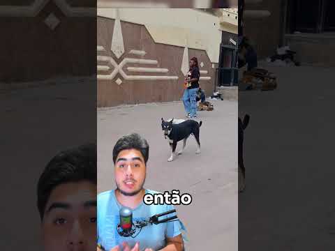 Por que dão Vacina assim no Egito? 😨