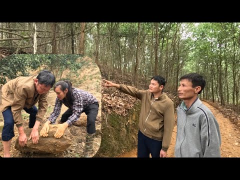 Between the dry firewood and the new pigsty floor, the old meaning remains undimmed. Ly Vy Ca 