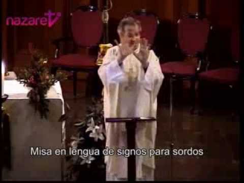 Evangelio y homilía del domingo 12 de enero de 2014,  en lengua de signos para sordos